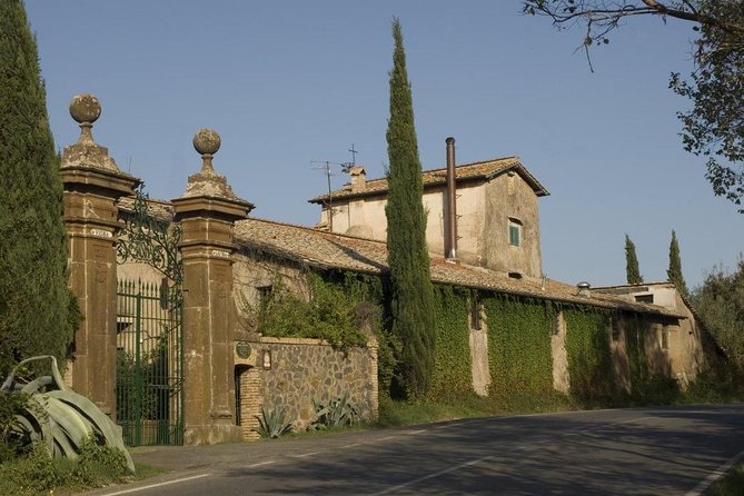 Wine Tasting and Pasta Making Class With Lunch From Rome - The Sum Up