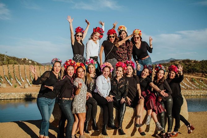 Wine Tasting Valle De Guadalupe & Casa Frida - Tour and Tasting at Barón Balche