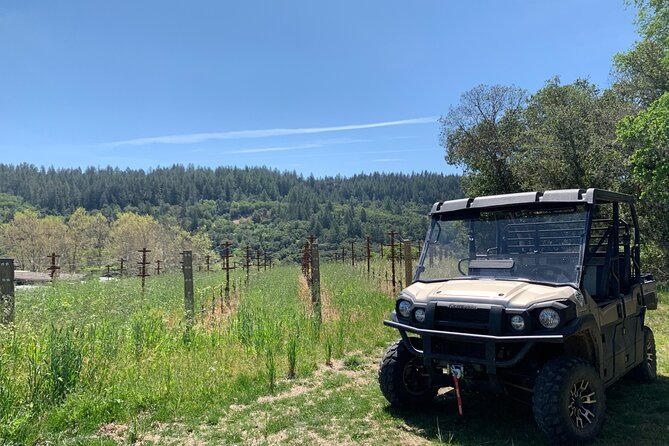 Wine Tour Pros - Wine Tour in Napa Valley: SUV For Up To 6 Guests - Additional Tour Information