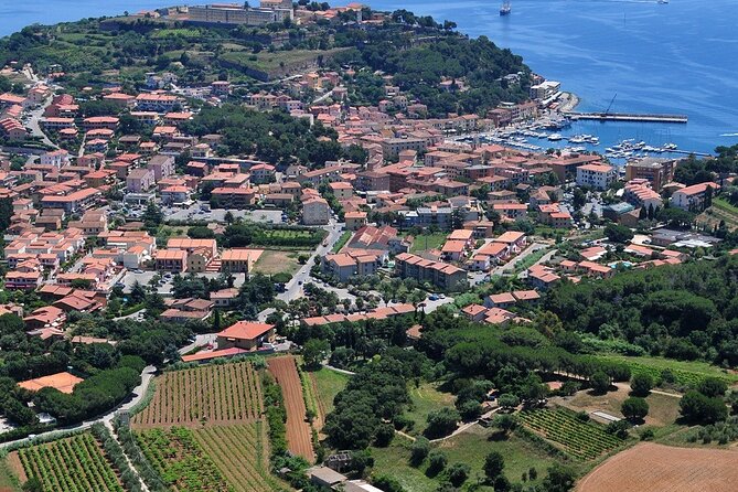 Winery Tour and Tasting With the Winemaker in Elba Island - Frequently Asked Questions
