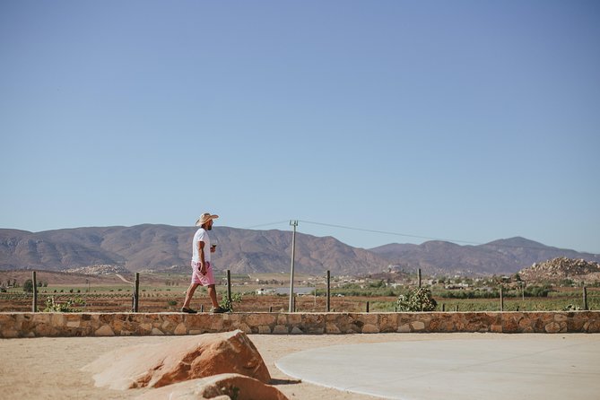 Xecue Wine Tasting in the Guadalupe Valley - Additional Noteworthy Information