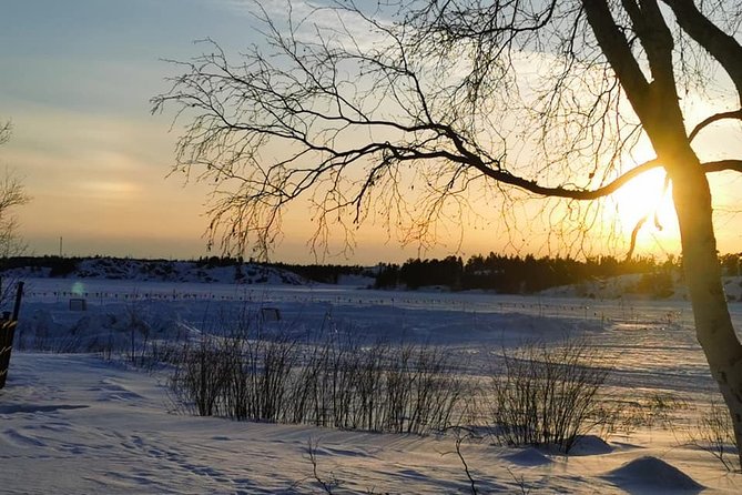 Yellowknife City Tour + Natures North Wildlife Gallery - Customer Feedback and Ratings