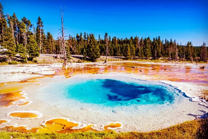 Yellowstone National Park 6-Day Tour From Vancouver (Chn&Eng) - Additional Information