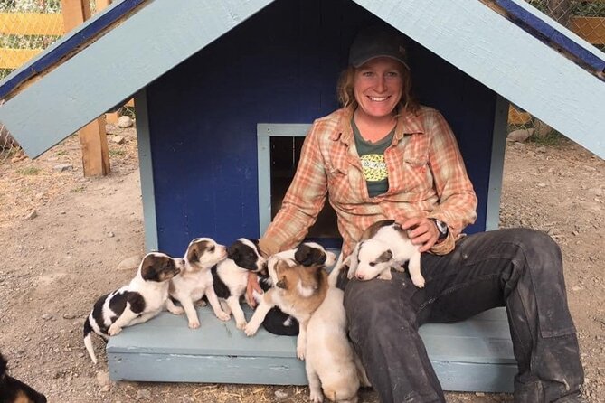 Yukon Husky Puppy Play Time & Summit Tour - Cancellation Policy and Contact