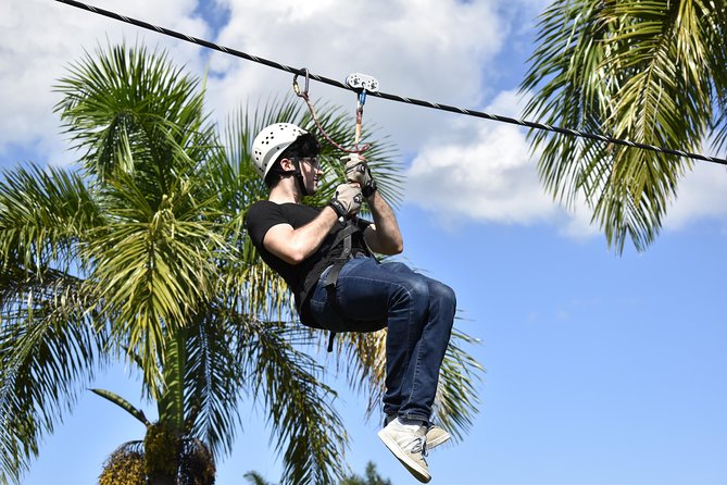 Ziplining From Punta Cana - Unique Carbon Fiber Lines in Punta Cana - Jungle Canopy Views