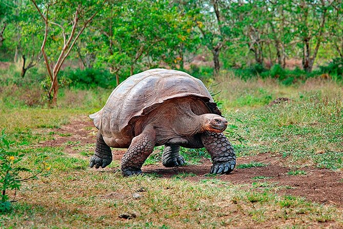 8 Day Galapagos Island Hopping - About Your Stay