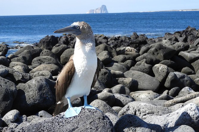 8-Day Galapagos Multisport: San Cristobal, Isabela and Santa Cruz - About Your Stay