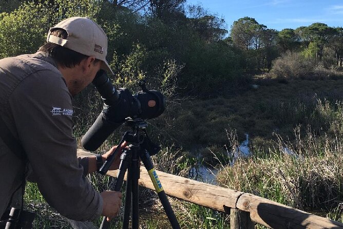 8-Days Discovering Birds of Portugal and Spain From Lisbon - Key Points