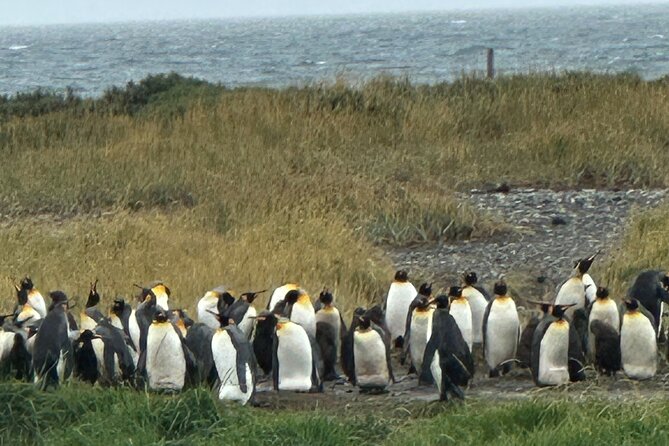 8 Days Expedition to the End of the World Southern Patagonia - Good To Know