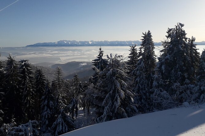 1-Day Private Snowshoe Hike in the Gorce Mountains Near Krakow - Exploring the Gorce Mountains