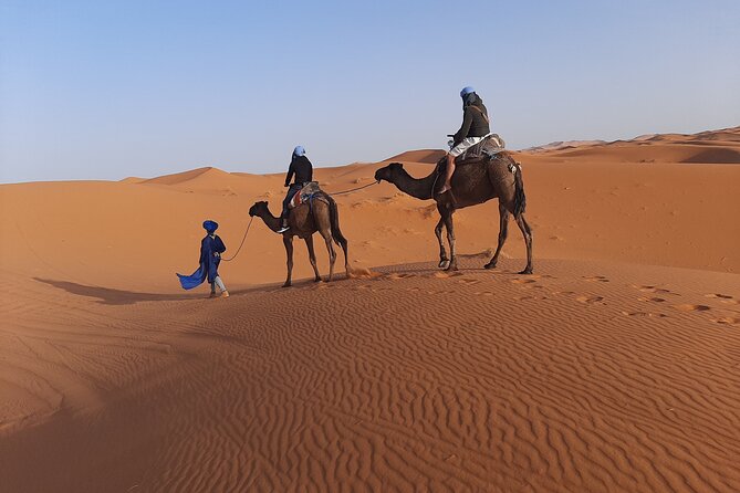 1 Night Camel Trekking in Merzouga - Tips for a Memorable Journey