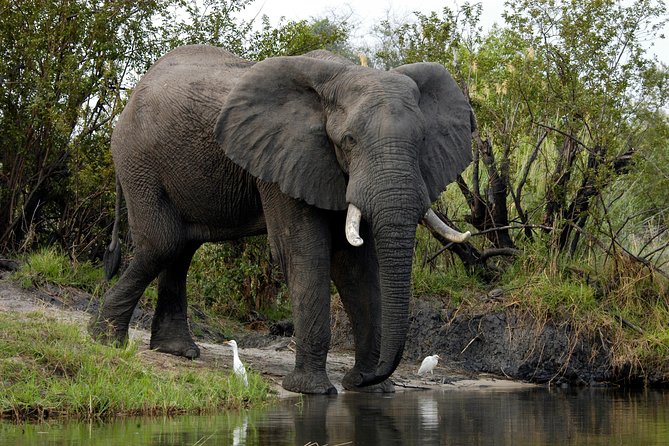 13 Days Best Of Zimbabwe - Frequently Asked Questions