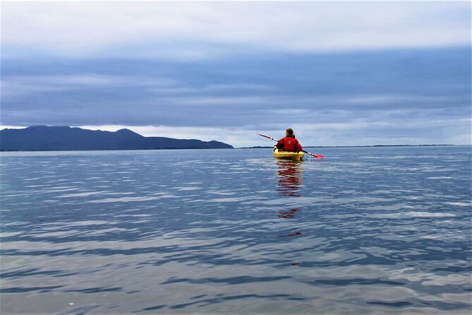 2.5 Hour Guided Sea Kayaking in Roundstone Bay - Reviews