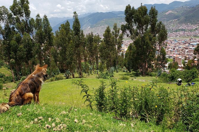 2 Days 1 Night Horseback Tour to Huchuy Qosqo - Final Verdict On This Stay