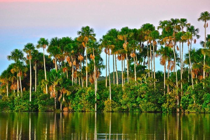 2 Days 1 Night – Peruvian Tambopata Jungle - Tour Reviews