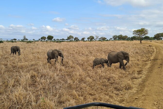 2 DAYS ZANZIBAR TO MIKUMI Flight Safari - Frequently Asked Questions