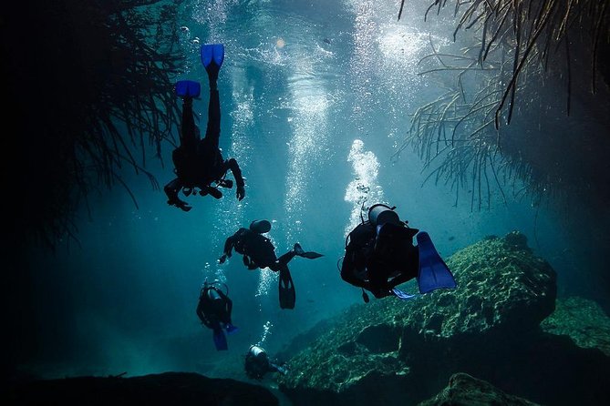 2 Tanks Cenote Diving Adventure in Tulum for Certified Divers - Flexible Cancellation and Guarantee