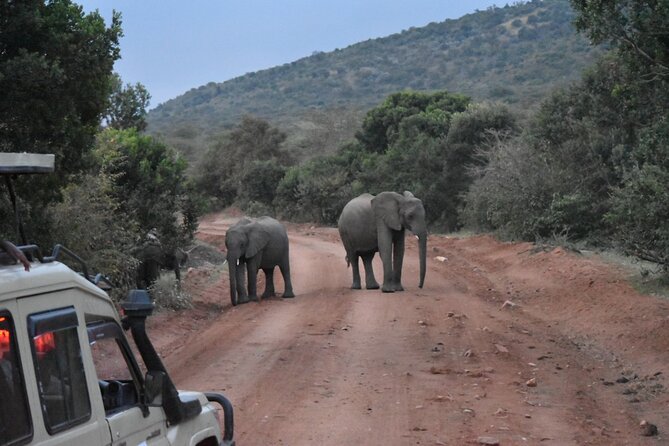 3 Day Maasai Mara Shared Safari - Booking Information