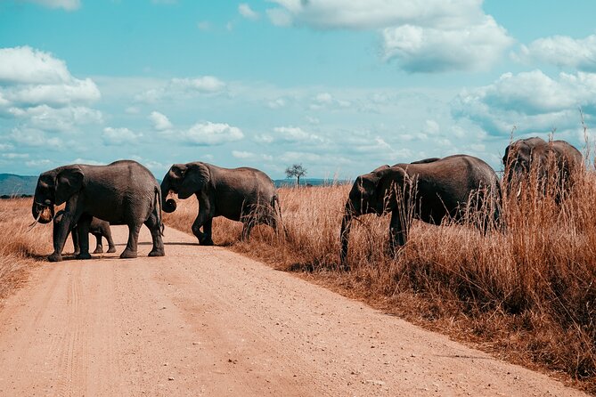 3 Days Private Mikumi National Park Wildlife Encounter Safari Tour - Frequently Asked Questions