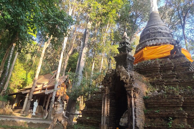 3 Experiences: Doi Suthep Temple, Wat Phalat & Elephants - The Sum Up