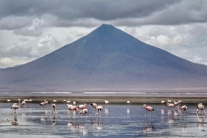 3D 2N Uyuni Salt Flats by Flight From La Paz to Atacama, Chile - Reaching Atacama, Chile