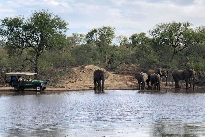 4 Day Budget Kruger National Park Safari - Tips for Travelers