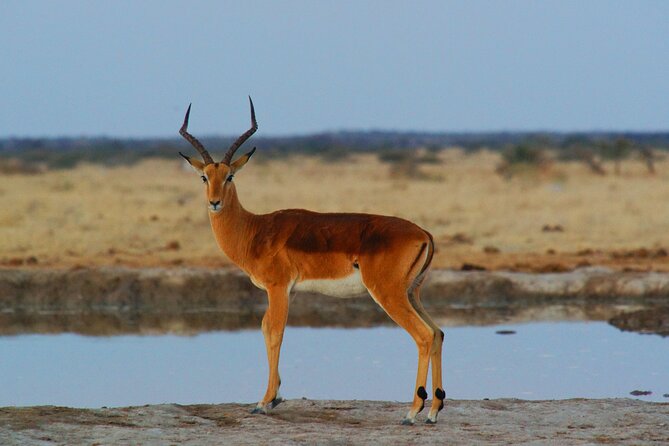 4 Days Tanzania Budget Group Join Safari- Serengeti & Ngorongoro - Highlights and Reviews