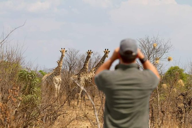 4 Days Victoria Falls Zimbabwe With Chobe National Park Safari Botswana and Livingstone Zambia - Frequently Asked Questions