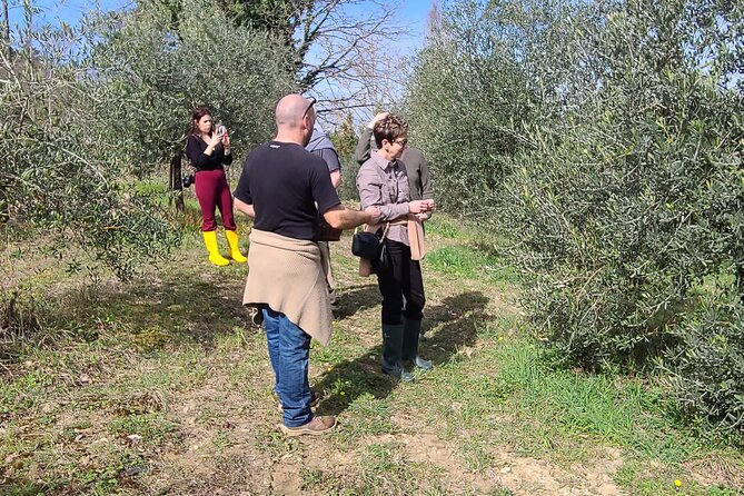 4 Hours Truffle Hunt With Pasta Cooking Course and Lunch - Additional Information