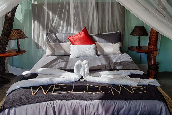 5 Day Katekani Lodge Kruger National Park Safari - Feedback and Considerations