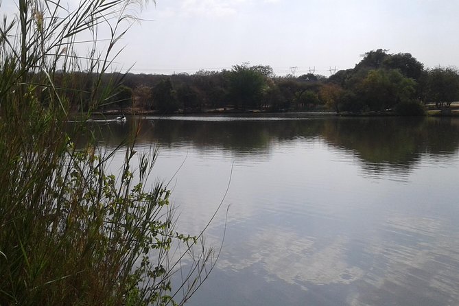 5 Day Kruger National Park Tour - Testimonials and Feedback