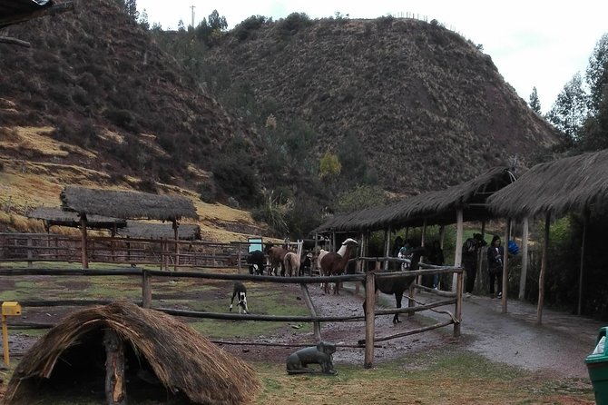 5 Day View The Most Popular The Sacred Valley, Machu Picchu & Rainbow Mountain - Questions About Your Stay