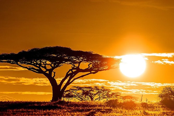 6 Day: Magnificent Wildlife Adventure - Booking and Cancellation Policy
