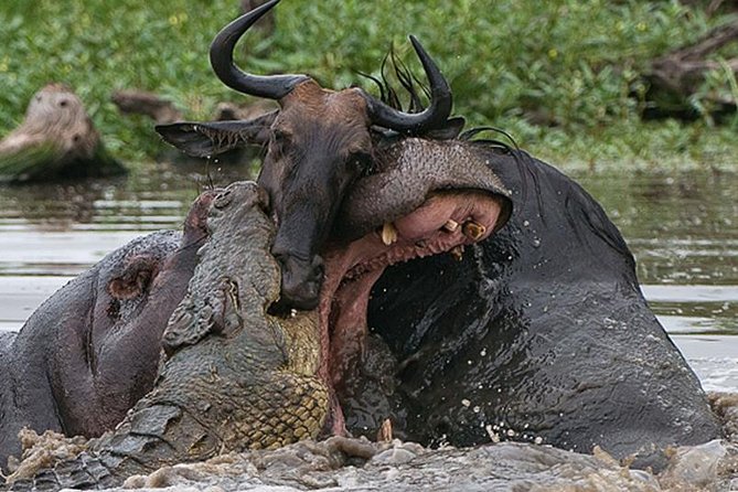 6 Days Private Camping Safari Serengeti, Ngorongoro, Lake Manyara and Tarangire - Frequently Asked Questions