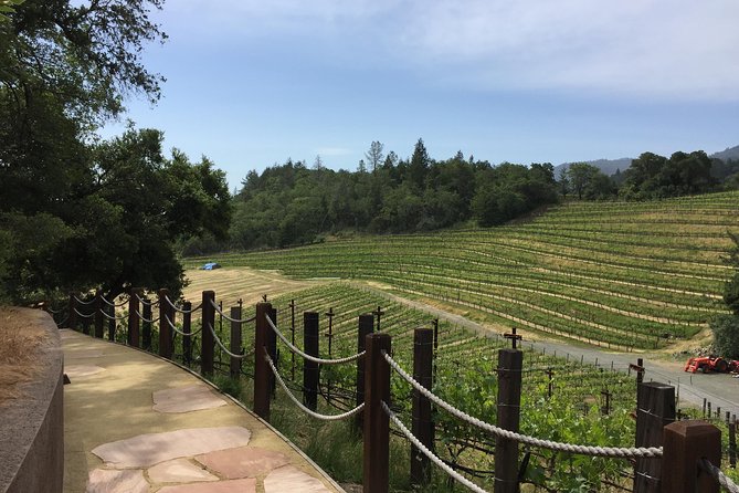 6-Hour Private Wine Country Tour of Napa Valley (Up to 6 People) in Large SUV - Cancellation Policy and Pricing Details