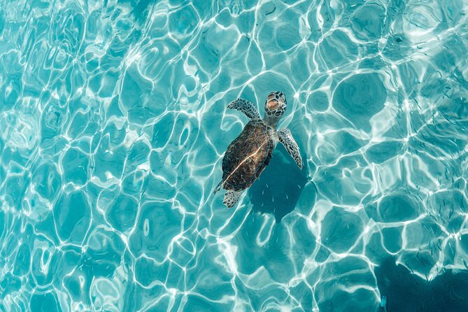 6 Hours Guided Beach Escape - Pricing and Lowest Price Guarantee