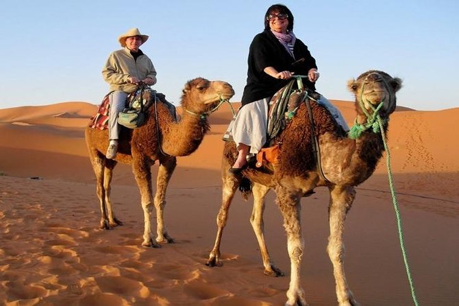 7-Day Private Tour, Explore Jordans Glamour - Frequently Asked Questions