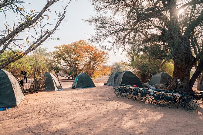 7 Day Taste of Namibia Lodging Safari - Frequently Asked Questions