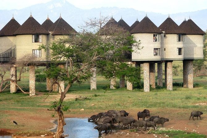 9 Days Kenya Classic Lodge Safari - Frequently Asked Questions