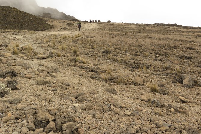 A Definitive Guide For the 7-day Kilimanjaros Lemosho Route - Sustainable Tourism and Responsible Trekking