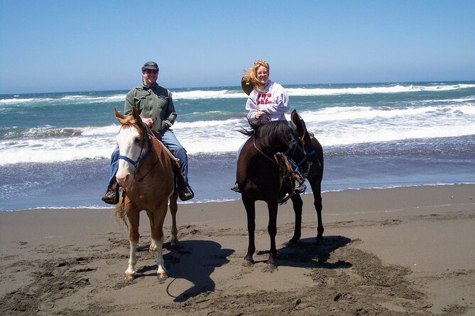 AfroMexican Village Experience-Horseback Ride-Turtle Hatch &Crocs - Crocodile Interaction Encounter