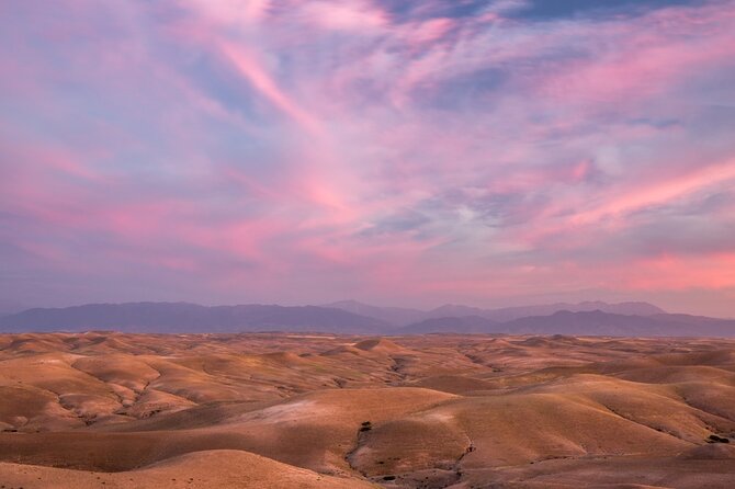 Agafay Desert Package, Quad Bike, Camel Ride and Dinner Show - Customer Reviews and Recommendations