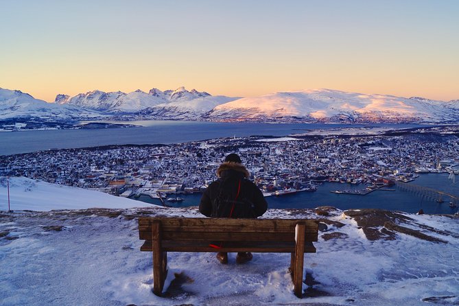 Arctic Panorama Cable Car Excursion - Considerations and Recommendations