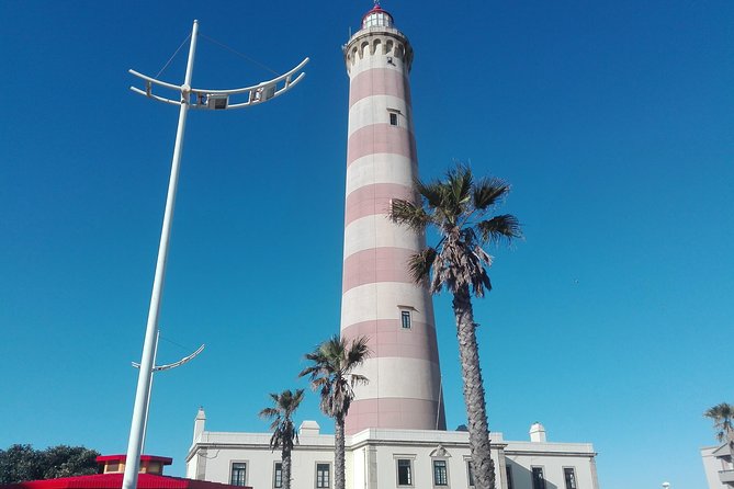 Aveiro, Costa Nova Beach and Moliceiro Boat, Half-Day From Coimbra - Positive Traveler Feedback and Reviews