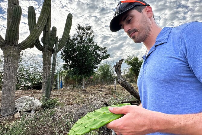 Azteca Cactus Taco - Farm to Table Cooking Class in Los Cabos - Recommendation and Ratings