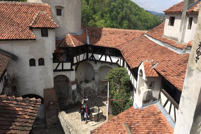Bear Sanctuary and Bran Castle From Brasov - Transportation and Meeting Points