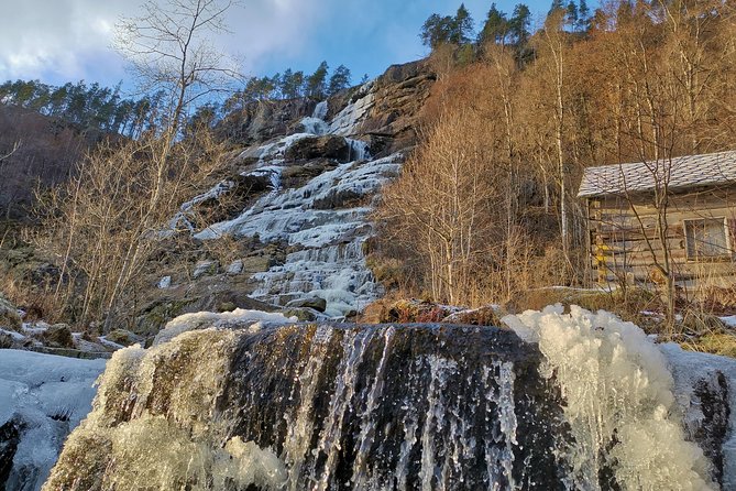 Bergen Private Full-Day Vikings and Fjords Tour - Sum Up
