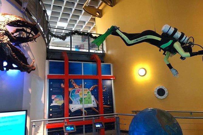 Bermuda Underwater Exploration Institute and Aquarium Adventure Day - Lunch Provided