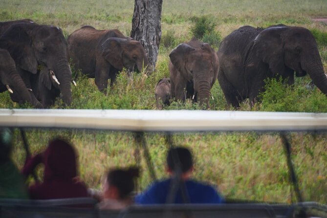 Best 4 Days Tanzania Sharing Group Safari - Frequently Asked Questions