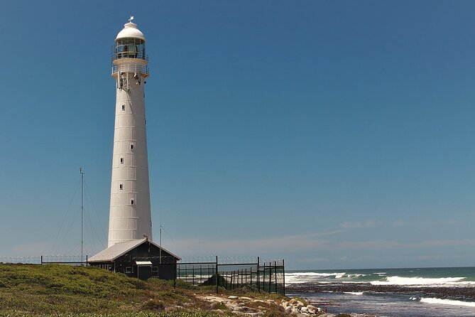 Best of Cape Town Cape Point and Wineries Combined Private Tour - Indulging in Stellenbosch Winery Experience